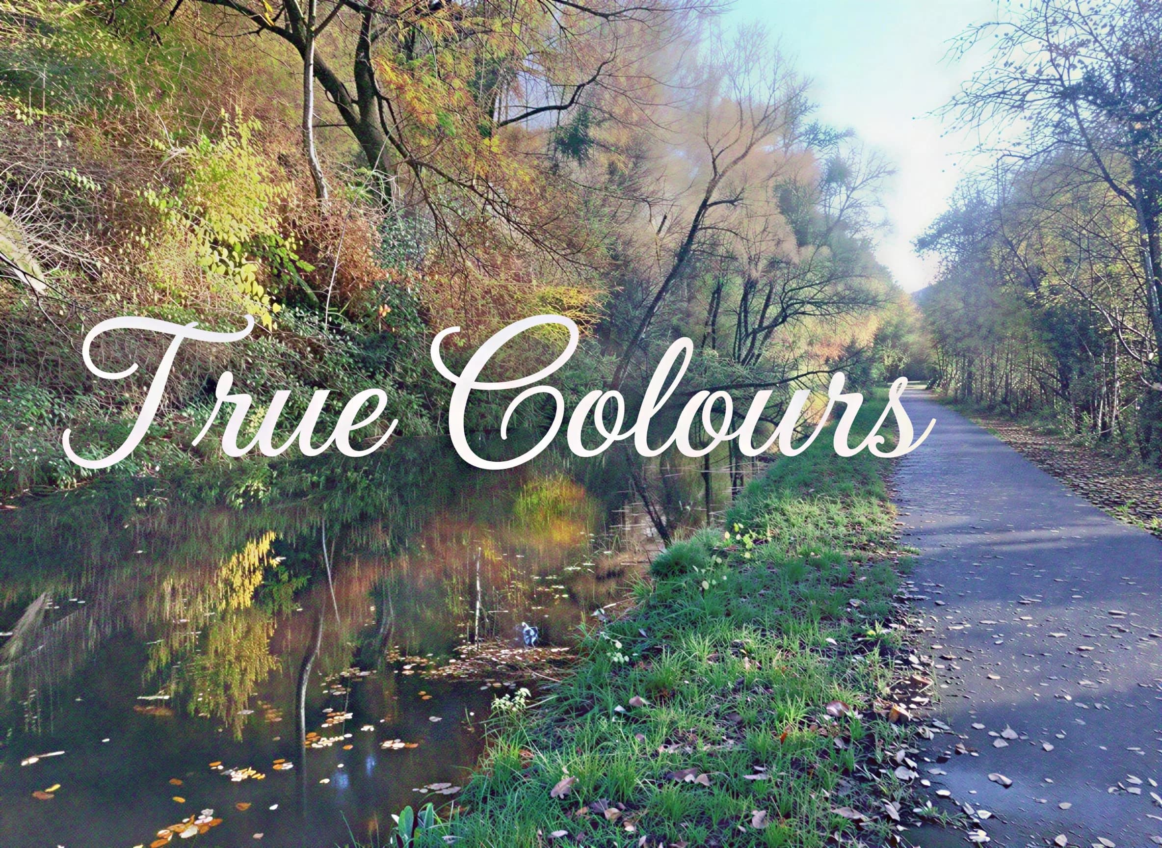 Cover of True Colours